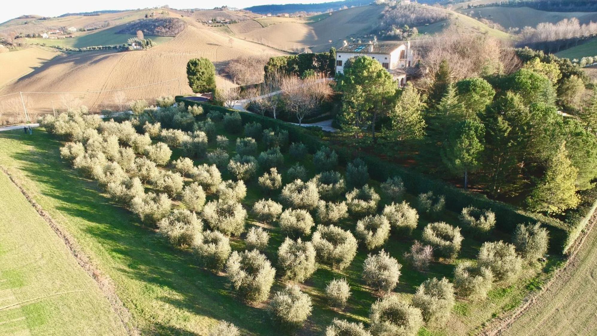Monterosato Country House Ponzano di Fermo Ngoại thất bức ảnh